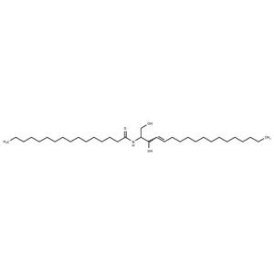 C16 Ceramide