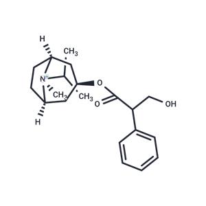 Ipratropium Free Base