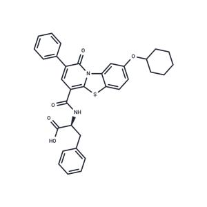 RdRP-IN-2