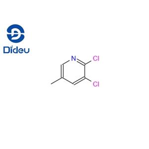 2,5-DICHLORO-3-METHYLPYRIDINE