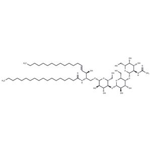 Ganglioside GM2 Asialo Mixture