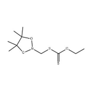 Carbonodithioic acid, O-ethyl S-[(4,4,5,5-tetramethyl-1,3,2-dioxaborolan-2-yl)methyl] ester