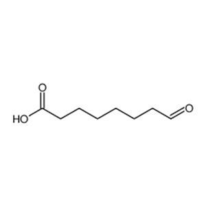 8-oxooctanoic acid