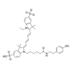 Tyramide-Cy5