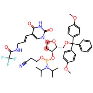 5-AMINOALLYL-DU CEP