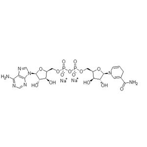 Beta-Nicotinamide adenine dinucleotide disodium salt