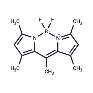 BODIPY 493/503