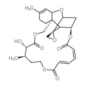 Verrucarin A