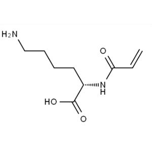 acryloyl-L-lysine