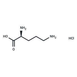 L-Ornithine hydrochloride