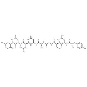 Carcinoembryonic antigen peptide