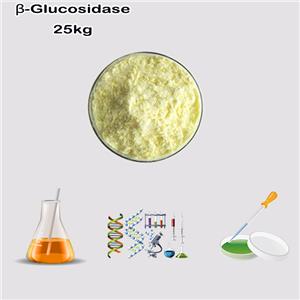 β-Glucosidase