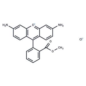 Rhodamine 123