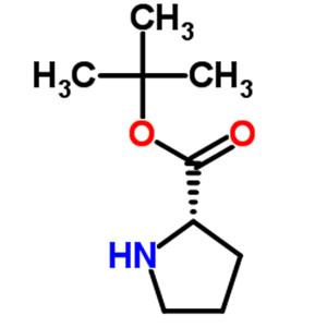 H-Pro-OtBu