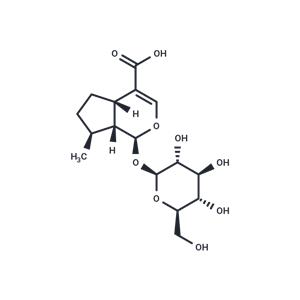 7-Deoxyloganic acid