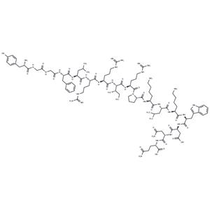 Dynorphin A
