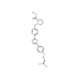 CIDD-0067106