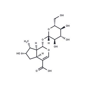 Loganic acid