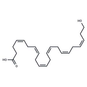22-HDHA