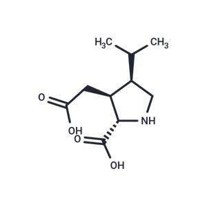 Dihydrokainic acid