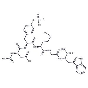 CCK (26-30) (sulfated)