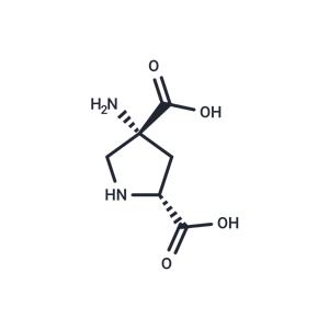 (2R,4R)-APDC