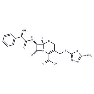 Cefcanel free acid