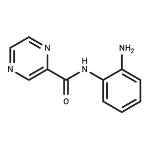BG45