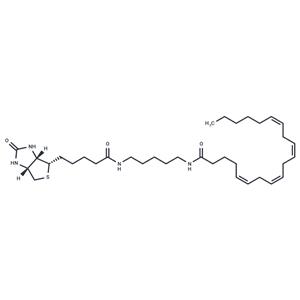 Arachidonic Acid-biotin