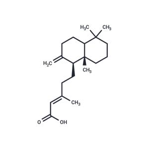 Anticopalic acid