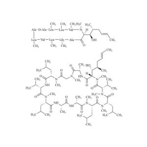 cyclosporin impurity B