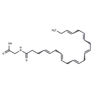 Docosahexaenoyl Glycine