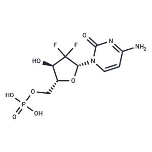 Gemcitabine monophosphate