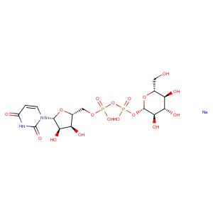 UDP-β-D-Glucose (sodium salt)