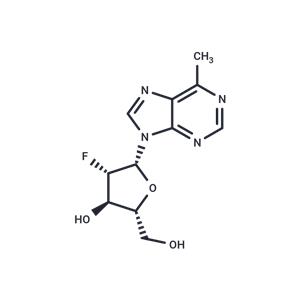 6-Methylpurine-2'-deoxy-2'-fluoro-beta-D-arabinoriboside