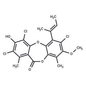 Nidulin