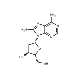 8-Amino-2'-deoxyadenosine