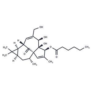 Ingenol 3-Hexanoate