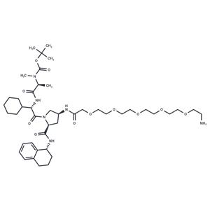 A 410099.1 amide-PEG5-amine