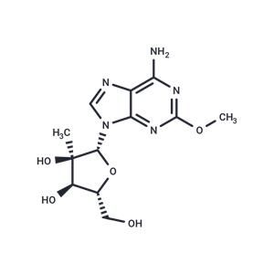 2'-C-Methyl-2-methoxyadenosine