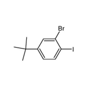 2-Bromo-4-tert-butyl-1-iodo-benzene