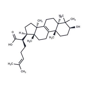 Trametenolic acid