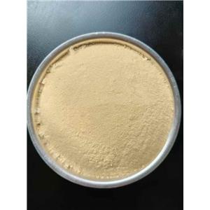 2-amino-3-bromobenzamide