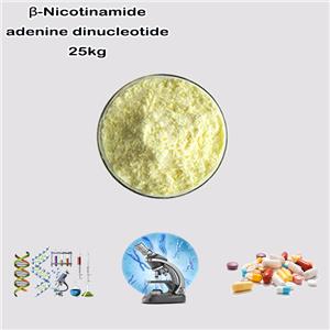 beta-Diphosphopyridine nucleotide