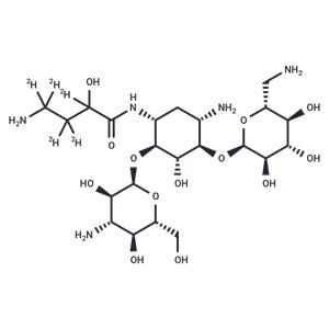 Amikacin-d5