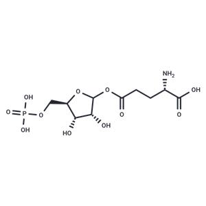 Glutamyl ribose 5-phosphate