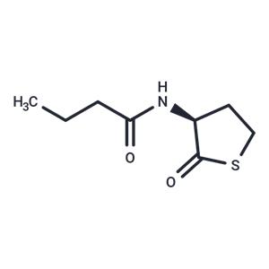 N-butyryl-L-Homocysteine thiolactone
