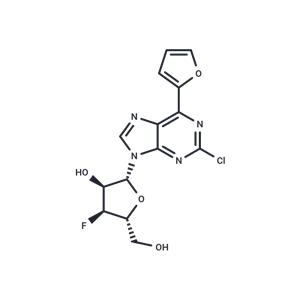 2-Chloro-6-(furan-2-yl)purine-beta-D-(3'-deoxy-3'-fluoro)riboside