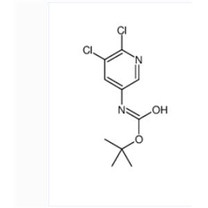 TERT-BUTYL 5,6-DICHLOROPYRIDIN-3-YLCARBAMATE