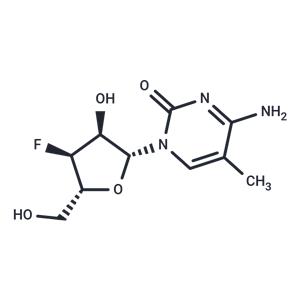 3'-Deoxy-3'-fluoro-5-methylcytidine